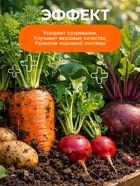 Удобрение минеральное для зелени, овощей, корнеплодов, Dr.Grunt, 120 г - Фото 6