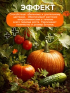 Удобрение минеральное универсальное, Dr.Grunt, 120 г - Фото 6