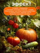 Удобрение минеральное универсальное, Dr.Grunt, 700 г - Фото 6