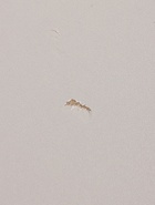 УЦЕНКА Кухонный гарнитур угловой в потолок 3000х1600 Виктория, Кашемир/Дуб крафт - Фото 17