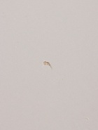 УЦЕНКА Кухонный гарнитур угловой в потолок 3000х1600 Виктория, Кашемир/Дуб крафт - Фото 18