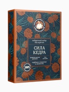 Подарочный набор для мужчин Рецепты Бабушки Агафьи Сибирская Травница «Сила Кедра» - Фото 2