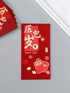 Конверт для денег подарочный Хунбао «Пожелание удачи, богатства», набор 6 шт., бумага, тиснение блеск, 9×17 см - Фото 2