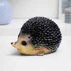 УЦЕНКА Копилка "Ежик веселый" 21х16х12см - Фото 2