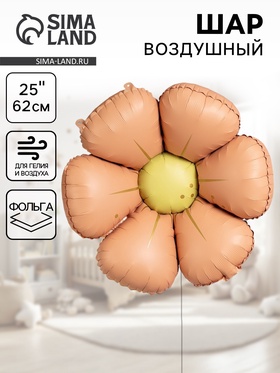 Воздушный шар фольгированный 25