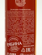 Подарочный набор новогодний «Дед Мороз», гель для душа 2 шт х 150 мл, мочалка, URAL LAB 10894943