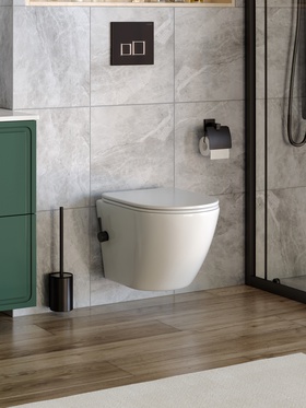 Унитаз Taliente Amato AM25010 + Smnero, подвесной