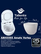 Унитаз Taliente Amato Vortex AM45005, подвесной - фото 14998556