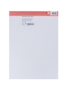 Картон цветной ErichKrause. Jolly Friends, А4, 10 цветов, 10 листов, мелованный, односторонний, глянцевый, на склейке - Фото 9