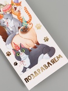 Конверт для денег «Поздравляю», коты, тиснение, 16.5 × 8 см (10 шт) - фото 809419507