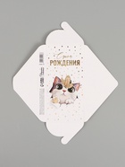 Конверт для денег «Котик», тиснение, 16.5 × 8 см (10 шт) - фото 809419640
