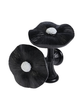 Крючок для штор CAPPIO KS036, d=9.5 мм, цвет черный, 2 шт 10906523