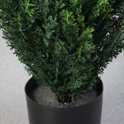 УЦЕНКА Дерево искусственное «Туя» в горшке, 150 см - Фото 5