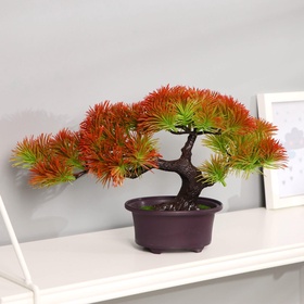 {{photo.Alt || photo.Description || 'УЦЕНКА Бонсай в горшке «Дендроарт», 12×17 см, без горшка, МИКС'}}