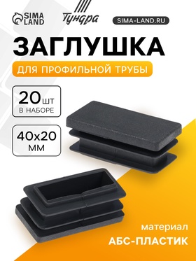 Заглушка для профильной трубы ТУНДРА, 40×20 мм, набор 20 шт. 10938919
