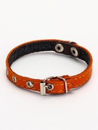 Ошейник кожаный однослойный  на  фетре неукрашенный, 1,2 см, ОШ 20-26 см, - фото 63131984