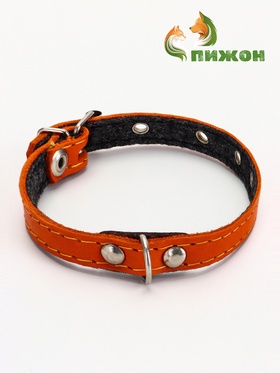 Ошейник, 30.5×1.2 см, ОШ 20-27 см, однослойный, неукрашенный, на фетре, кожа, оранжевый