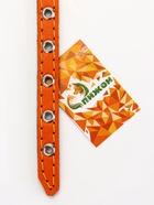 Ошейник, 1.2 см, ОШ 20-26 см, однослойный, неукрашенный, на фетре, кожа, оранжевый - фото 23281528