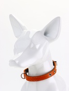 Ошейник кожаный однослойный  на  фетре неукрашенный, 1,2 см, ОШ 20-26 см, - фото 63131985