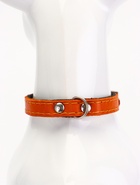 Ошейник кожаный однослойный  на  фетре неукрашенный, 1,2 см, ОШ 20-26 см, - фото 63131987