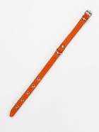 Ошейник кожаный однослойный  на  фетре неукрашенный, 1,2 см, ОШ 20-26 см, - фото 63131989