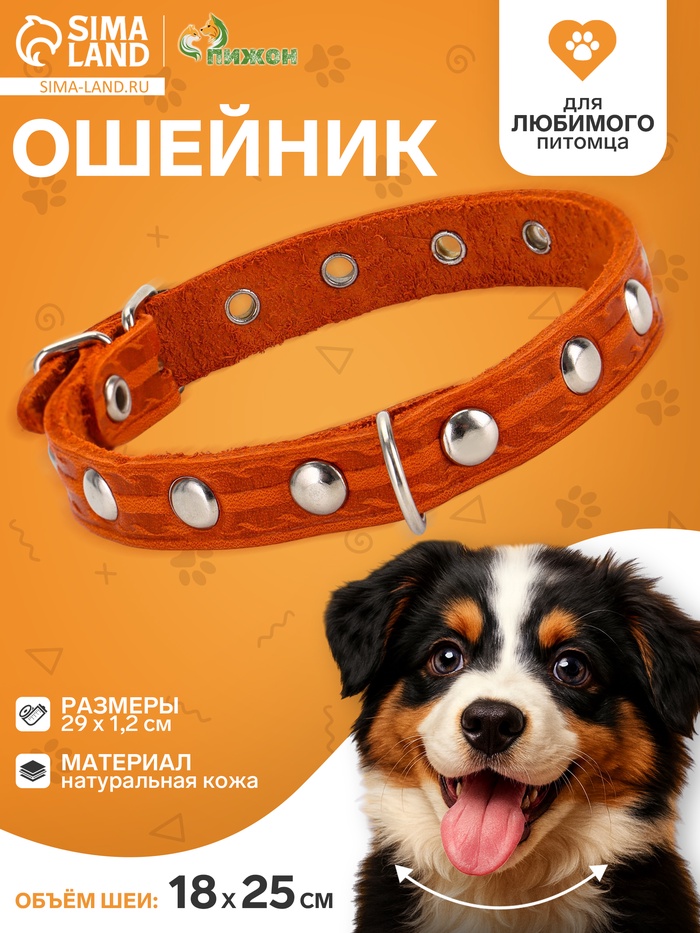 Ошейник, 29×1.2 см, ОШ 18-25 см, однослойный, украшенный, кожа, цвет МИКС - Фото 1