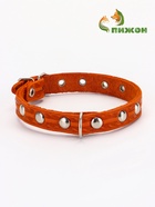 Ошейник кожаный однослойный украшенный, 1,2 см, ОШ 20-26 см микс цветов - фото 809369257