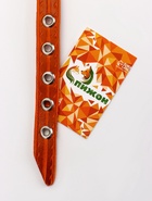 Ошейник кожаный однослойный украшенный, 1,2 см, ОШ 20-26 см микс цветов - фото 809369266