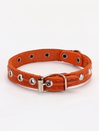 Ошейник кожаный однослойный украшенный, 1,2 см, ОШ 20-26 см микс цветов - фото 809369258