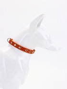 Ошейник кожаный однослойный украшенный, 1,2 см, ОШ 20-26 см микс цветов - фото 809369260