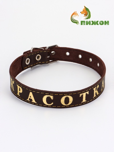 Ошейник однослойный "Красотка", 2.5 см, тиснение фольгой, микс цветов