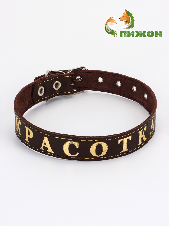 Ошейник однослойный "Красотка", 2.5 см, тиснение фольгой, микс цветов - Фото 1