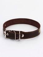 Ошейник однослойный "Красотка", 2.5 см, тиснение фольгой, микс цветов - Фото 2