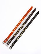 Ошейник однослойный "Красотка", 2.5 см, тиснение фольгой, микс цветов - фото 809380612