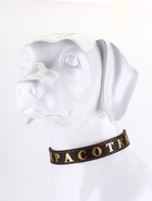 Ошейник однослойный "Красотка", 2.5 см, тиснение фольгой, микс цветов - Фото 3