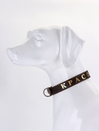 Ошейник однослойный "Красотка", 2.5 см, тиснение фольгой, микс цветов - Фото 5