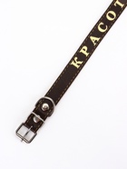 Ошейник однослойный "Красотка", 2.5 см, тиснение фольгой, микс цветов - Фото 8