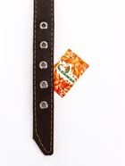 Ошейник однослойный "Красотка", 2.5 см, тиснение фольгой, микс цветов - Фото 10