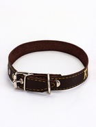 Ошейник однослойный "Красавчик", 2.5 см, тиснение фольгой, микс цветов - Фото 2