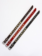 Ошейник однослойный "Красавчик", 2.5 см, тиснение фольгой, микс цветов - Фото 11