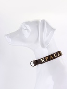 Ошейник однослойный "Красавчик", 2.5 см, тиснение фольгой, микс цветов - Фото 4