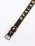 Ошейник однослойный "Красавчик", 2.5 см, тиснение фольгой, микс цветов - Фото 8