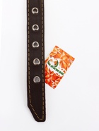 Ошейник однослойный "Красавчик", 2.5 см, тиснение фольгой, микс цветов - Фото 10