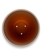 Горшок цветочный с поддоном 5 л, d122/h19,5 см капучино керамика, "Туман" (М) 10959235