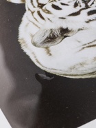 УЦЕНКА Картина "Бенгальский тигр" 50х50(54х54) см - Фото 7