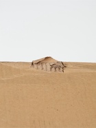 УЦЕНКА Коробка для воздушных шаров «С ДР», 60×60×60 см, красная, набор 5 шт. - Фото 5