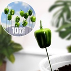 УЦЕНКА Набор штекеров "Перец" 10шт, 3см, длина 25см - Фото 1