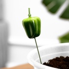 УЦЕНКА Набор штекеров "Перец" 10шт, 3см, длина 25см - Фото 2