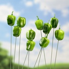 УЦЕНКА Набор штекеров "Перец" 10шт, 3см, длина 25см - Фото 3