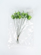 УЦЕНКА Набор штекеров "Перец" 10шт, 3см, длина 25см - Фото 5